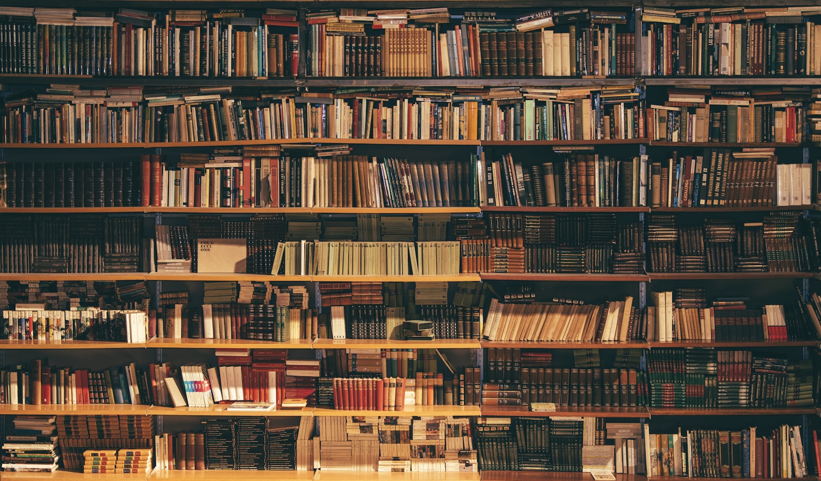 Bibliothèque murale en noyer massif, pleine hauteur, garnie de livres